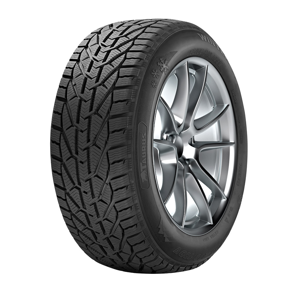 225/40R18 92V XL Winter